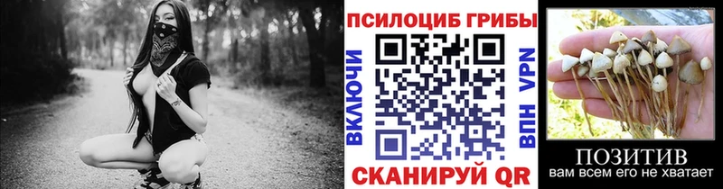 Псилоцибиновые грибы Psilocybe  как найти наркотики  Братск 